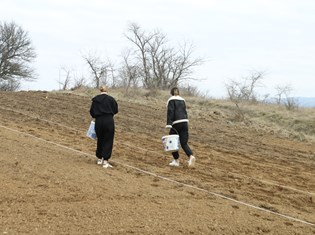 IMG_3555.JPG